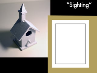 “Sighting”
 