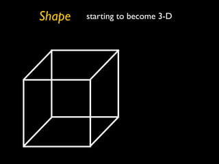 Shape   starting to become 3-D
 