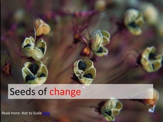 Seeds of change
Read more: Not to Scale blog
 