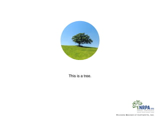 This is a tree.
Richard Becker at Copywrite, Ink.
 