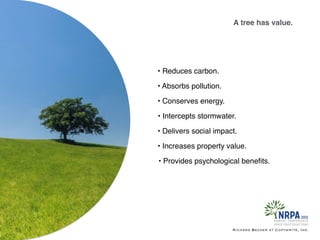 • Intercepts stormwater.
• Increases property value.
• Conserves energy.
• Absorbs pollution.
• Reduces carbon.
• Delivers social impact.
• Provides psychological beneﬁts.
A tree has value.
Richard Becker at Copywrite, Ink.
 