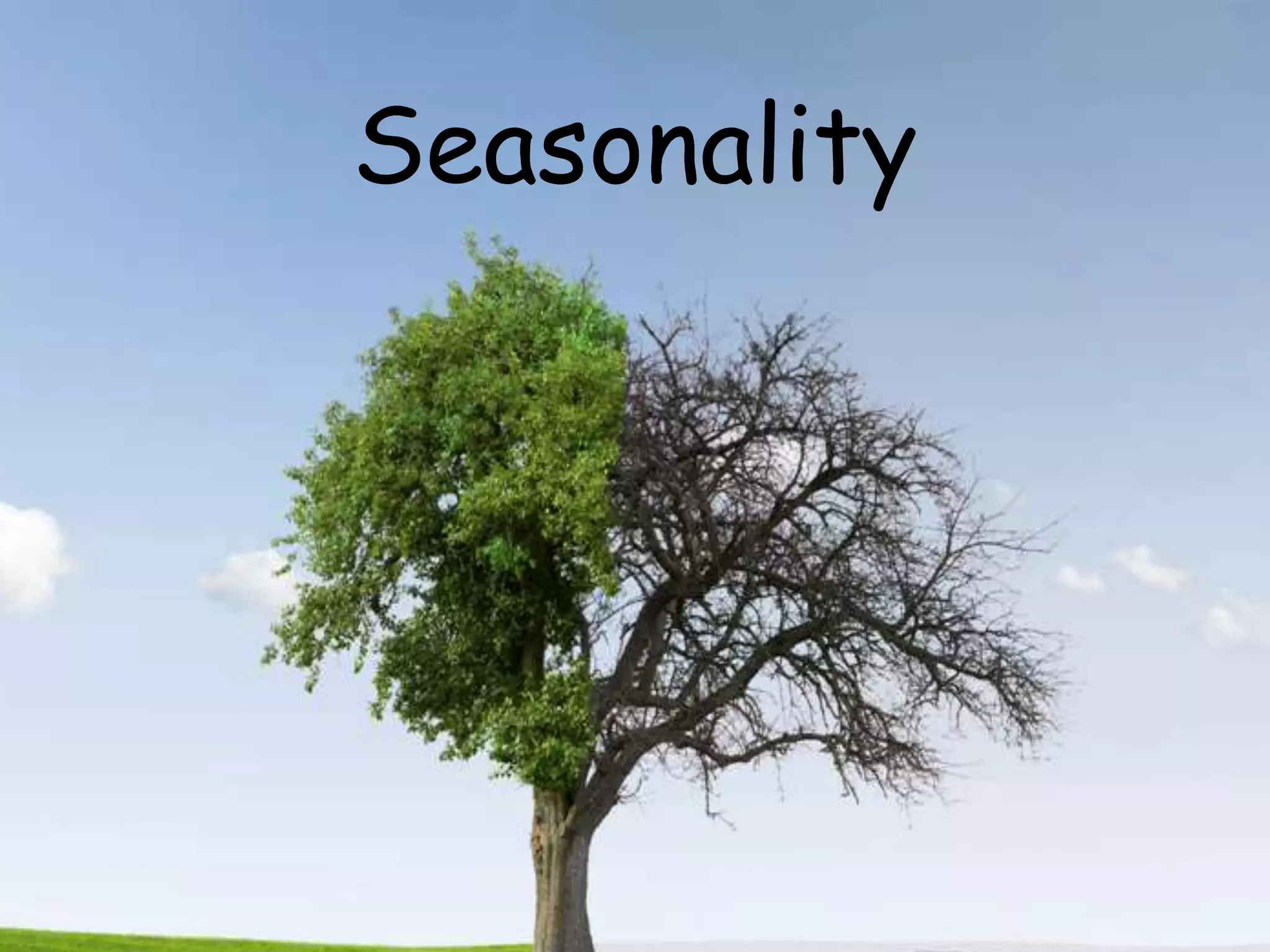 Seasonality