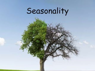 Seasonality
