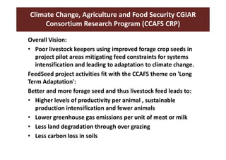 FeedSeed - A PPP innovation platform approach to scaling up forage seed systems 