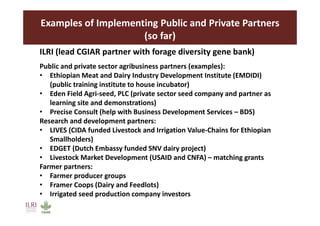FeedSeed - A PPP innovation platform approach to scaling up forage seed systems 