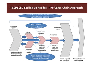FeedSeed - A PPP innovation platform approach to scaling up forage seed systems 