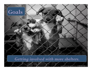 Goals 
Getting involved with more shelters. 
Natasha 
and 
brother 
Oleg, 
Digital 
Image. 
Sherry, 
4 
June 
2014. 
Web. 
21 
Sept. 
2014 
 