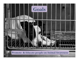 Goals 
Promote & Educate people on Animal Awareness 
h"ps://www.flickr.com/photos/55157190@N02/5797058352/ 
 