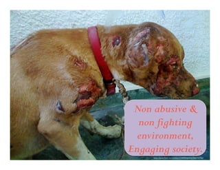 Non abusive & 
non fighting 
environment, 
Engaging society. 
h"ps://www.flickr.com/photos/12369599@N05/2683742736/ 
 