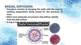Radially Diffuse Color About seed health test pathology....pptx