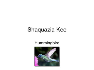 Shaquazia Kee Hummingbird 