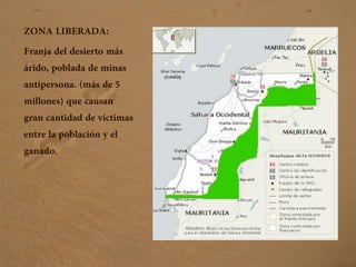 ZONA LIBERADA:
Franja del desierto más
árido, poblada de minas
antipersona. (más de 5
millones) que causan
gran cantidad de víctimas
entre la población y el
ganado.
 