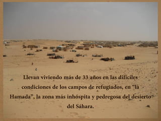Llevan viviendo más de 33 años en las difíciles
condiciones de los campos de refugiados, en “la
Hamada”, la zona más inhóspita y pedregosa del desierto
del Sáhara.
 