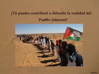 ¡Tú puedes contribuir a difundir la realidad del
Pueblo Saharaui!
Lázaro
 