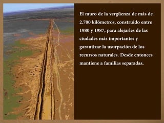 El muro de la vergüenza de más de
2.700 kilómetros, construido entre
1980 y 1987, para alejarles de las
ciudades más importantes y
garantizar la usurpación de los
recursos naturales. Desde entonces
mantiene a familias separadas.
 