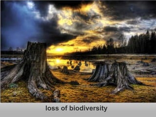 loss of biodiversity 