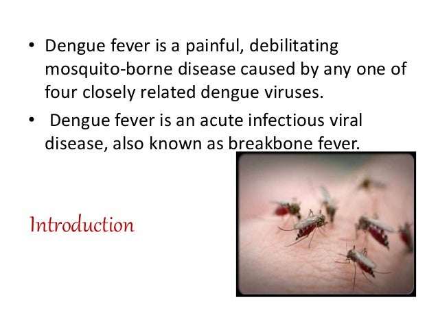 virulent dengue fever Dengue virus type 4 (denv-4) was first reported in the americas in 1981, where it caused epidemics of dengue fever throughout the region in the same year, the region's first epidemic of dengue hemorrhagic fever was reported, caused by an asian strain of dengue virus type 2 (denv-2) that was. virulent dengue fever Dengue virus type 4 (denv-4) was first reported in the americas in 1981, where it caused epidemics of dengue fever throughout the region in the same year, the region's first epidemic of dengue hemorrhagic fever was reported, caused by an asian strain of dengue virus type 2 (denv-2) that was.