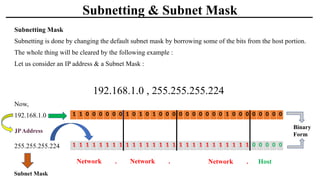 Comprehensive Guide to IP Addressing, Subnetting, Default Gateway, and ...