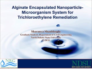 Alginate Encapsulated Nanoparticle-Microorganism System for Trichloroethylene Remediation 