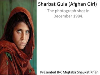 Sharbat Gula (Afghan Girl)
The photograph shot in
December 1984.
Presented By: Mujtaba Shaukat Khan
 