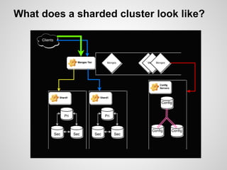 What does a sharded cluster look like? 
 