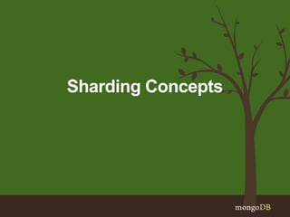 Sharding Concepts
 