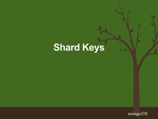 Shard Keys
 