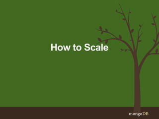 How to Scale
 