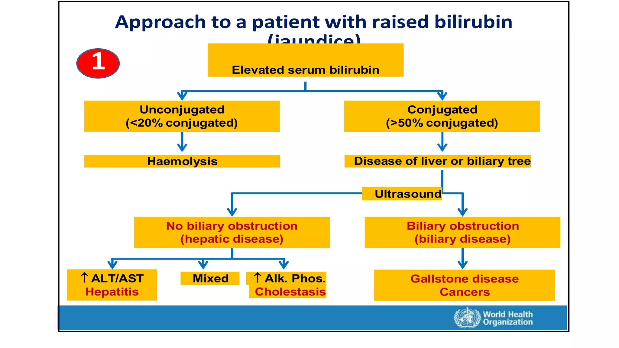 Approach to a patient with raised bilirubin
(jaundice)
1 Elevated serum bilirubin
Unconjugated
(<20% conjugated)
Conjugated
(>50% conjugated)
Haemolysis Disease of liver or biliary tree
Ultrasound
No biliary obstruction
(hepatic disease)
Biliary obstruction
(biliary disease)
 ALT/AST
Hepatitis
Mixed  Alk. Phos.
Cholestasis
Gallstone disease
Cancers
 