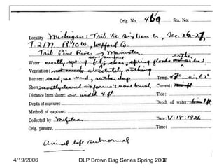 4/19/2006 DLP Brown Bag Series Spring 20063
 