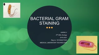 BACTERIAL GRAM
STAINING
HARINI.V
2ND MSc Zoology
2019-2021
Reg no: 1913392077003
MEDICAL LABORATORY TECHNOLOGY
 
