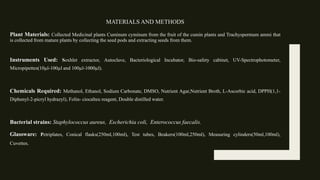 Comprehensive Phytochemical Analysis and Bioactivity Assessment of-1.pptx