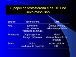 O papel da testosterona e da DHT no
sexo masculino
Estádio
Feto

Puberdade

Adulto

Testosterona

DHT

Epidídimo,
vas deferens,
vesículas seminais

Órgãos genitais
externos e próstata

Órgãos genitais,
laringe, músculos

Maior
desenvolvimento da
próstata

Líbido,
produção de esperma

Acne, calvície,
HBP

 