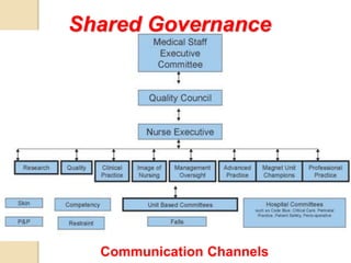 18
Shared Governance
Communication Channels
 