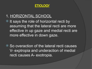 ETIOLOGY
1. HORIZONTAL SCHOOL
 It says the role of horizontal recti by
assuming that the lateral recti are more
effective in up gaze and medial recti are
more effective in down gaze.
 So overaction of the lateral recti causes
V- exptropia and underaction of medial
recti causes A- exotropia.
 