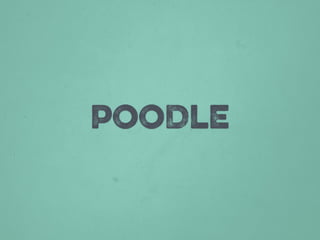 POODLE 
 