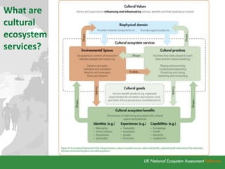 What are
cultural
ecosystem
services?
 