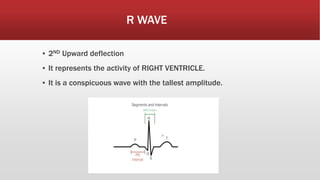 R WAVE
▪ 2ND Upward deflection
▪ It represents the activity of RIGHT VENTRICLE.
▪ It is a conspicuous wave with the tallest amplitude.
 