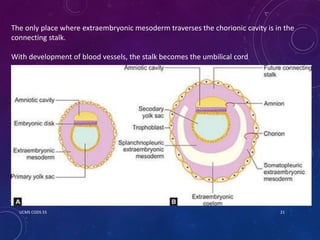 BASIC OF EMBRYOLOGY by Dr. Roshan Kr. Yadav | PPTX