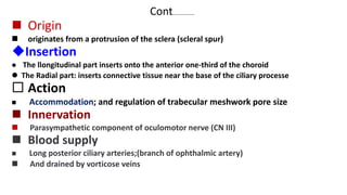 Cont..............
 Origin
 originates from a protrusion of the sclera (scleral spur)
Insertion
 The llongitudinal part inserts onto the anterior one-third of the choroid
 The Radial part: inserts connective tissue near the base of the ciliary processe
 Action
 Accommodation; and regulation of trabecular meshwork pore size
 Innervation
 Parasympathetic component of oculomotor nerve (CN III)
 Blood supply
 Long posterior ciliary arteries;(branch of ophthalmic artery)
 And drained by vorticose veins
 