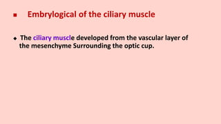  Embrylogical of the ciliary muscle
 The ciliary muscle developed from the vascular layer of
the mesenchyme Surrounding the optic cup.
 