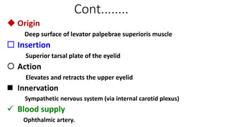 Cont........
 Origin
Deep surface of levator palpebrae superioris muscle
 Insertion
Superior tarsal plate of the eyelid
 Action
Elevates and retracts the upper eyelid
 Innervation
Sympathetic nervous system (via internal carotid plexus)
 Blood supply
Ophthalmic artery.
 