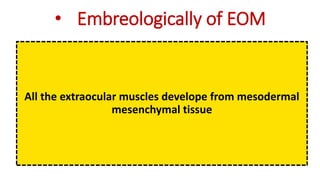 • Embreologically of EOM
All the extraocular muscles develope from mesodermal
mesenchymal tissue
 