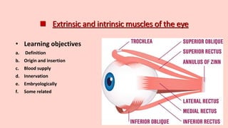 Extrinsic and intrinsic muscles of the eye
• Learning objectives
a. Definition
b. Origin and insertion
c. Blood supply
d. Innervation
e. Embryologically
f. Some related
 