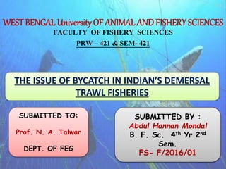 WEST BENGAL University OF ANIMAL AND FISHERY SCIENCES
FACULTY OF FISHERY SCIENCES
PRW – 421 & SEM- 421
THE ISSUE OF BYCATCH IN INDIAN’S DEMERSAL
TRAWL FISHERIES
SUBMITTED TO:
Prof. N. A. Talwar
DEPT. OF FEG
SUBMITTED BY :
Abdul Hannan Mondal
B. F. Sc. 4th Yr 2nd
Sem.
FS- F/2016/01
 