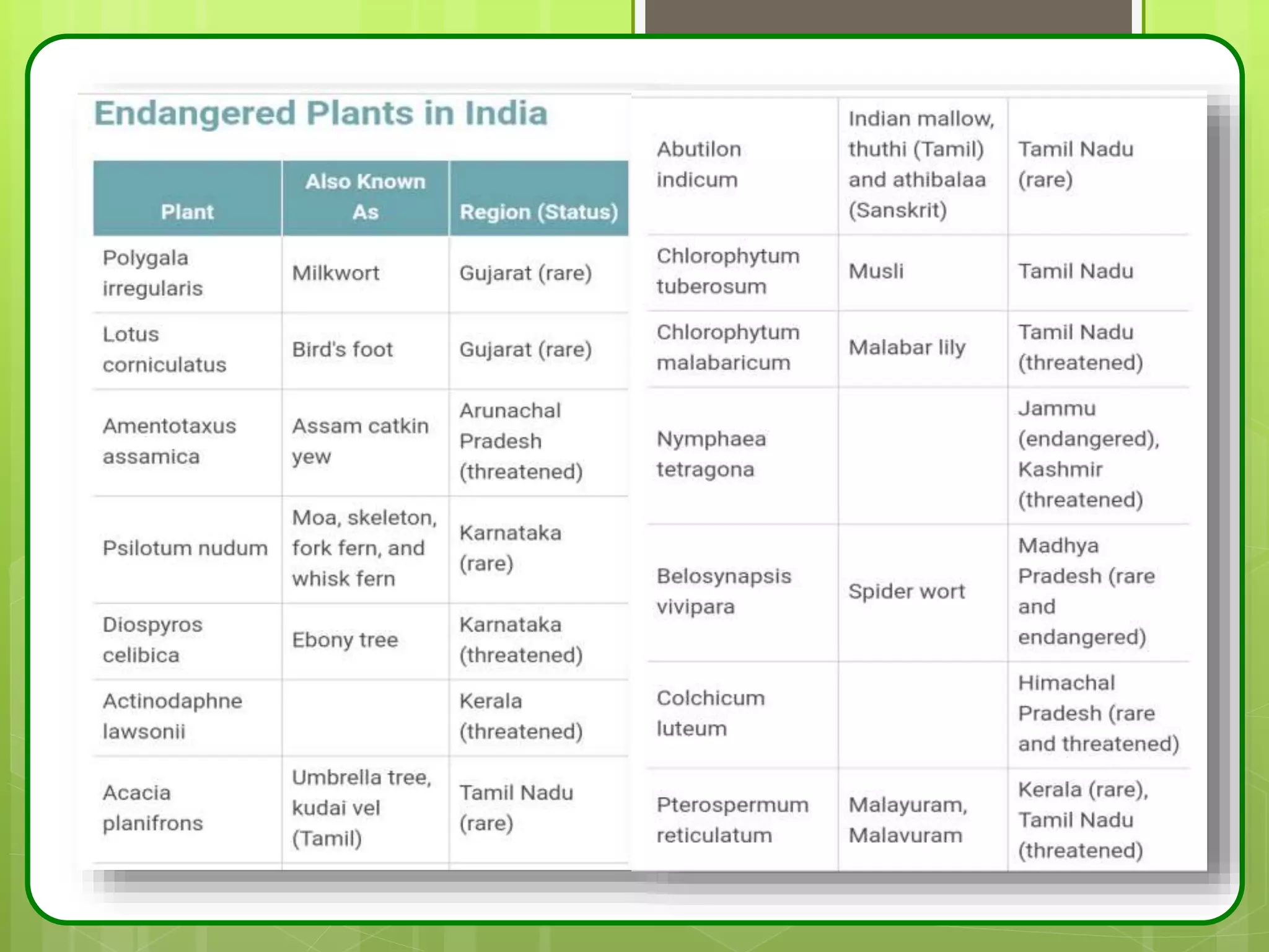 Protected & Endangered species of plant ppt by G.S.Shaktawat | PPTX