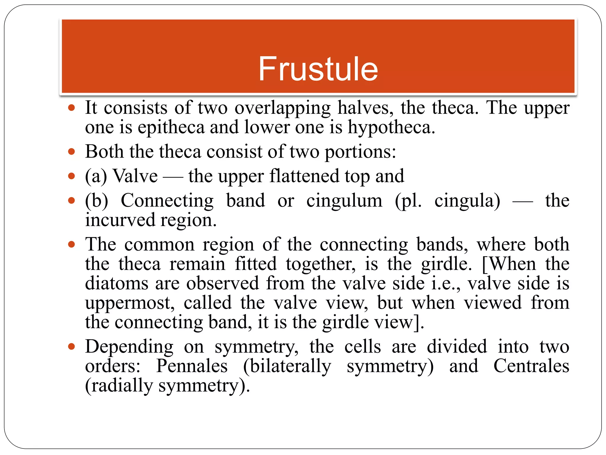 Frustule
 It consists of two overlapping halves, the theca. The upper
one is epitheca and lower one is hypotheca.
 Both the theca consist of two portions:
 (a) Valve — the upper flattened top and
 (b) Connecting band or cingulum (pl. cingula) — the
incurved region.
 The common region of the connecting bands, where both
the theca remain fitted together, is the girdle. [When the
diatoms are observed from the valve side i.e., valve side is
uppermost, called the valve view, but when viewed from
the connecting band, it is the girdle view].
 Depending on symmetry, the cells are divided into two
orders: Pennales (bilaterally symmetry) and Centrales
(radially symmetry).
 
