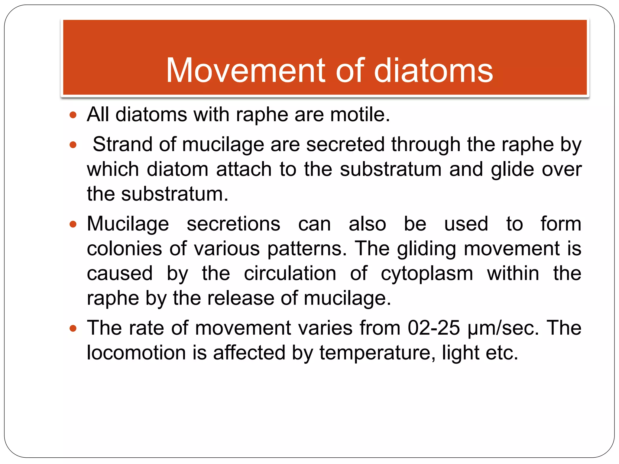 Movement of diatoms
 All diatoms with raphe are motile.
 Strand of mucilage are secreted through the raphe by
which diatom attach to the substratum and glide over
the substratum.
 Mucilage secretions can also be used to form
colonies of various patterns. The gliding movement is
caused by the circulation of cytoplasm within the
raphe by the release of mucilage.
 The rate of movement varies from 02-25 µm/sec. The
locomotion is affected by temperature, light etc.
 