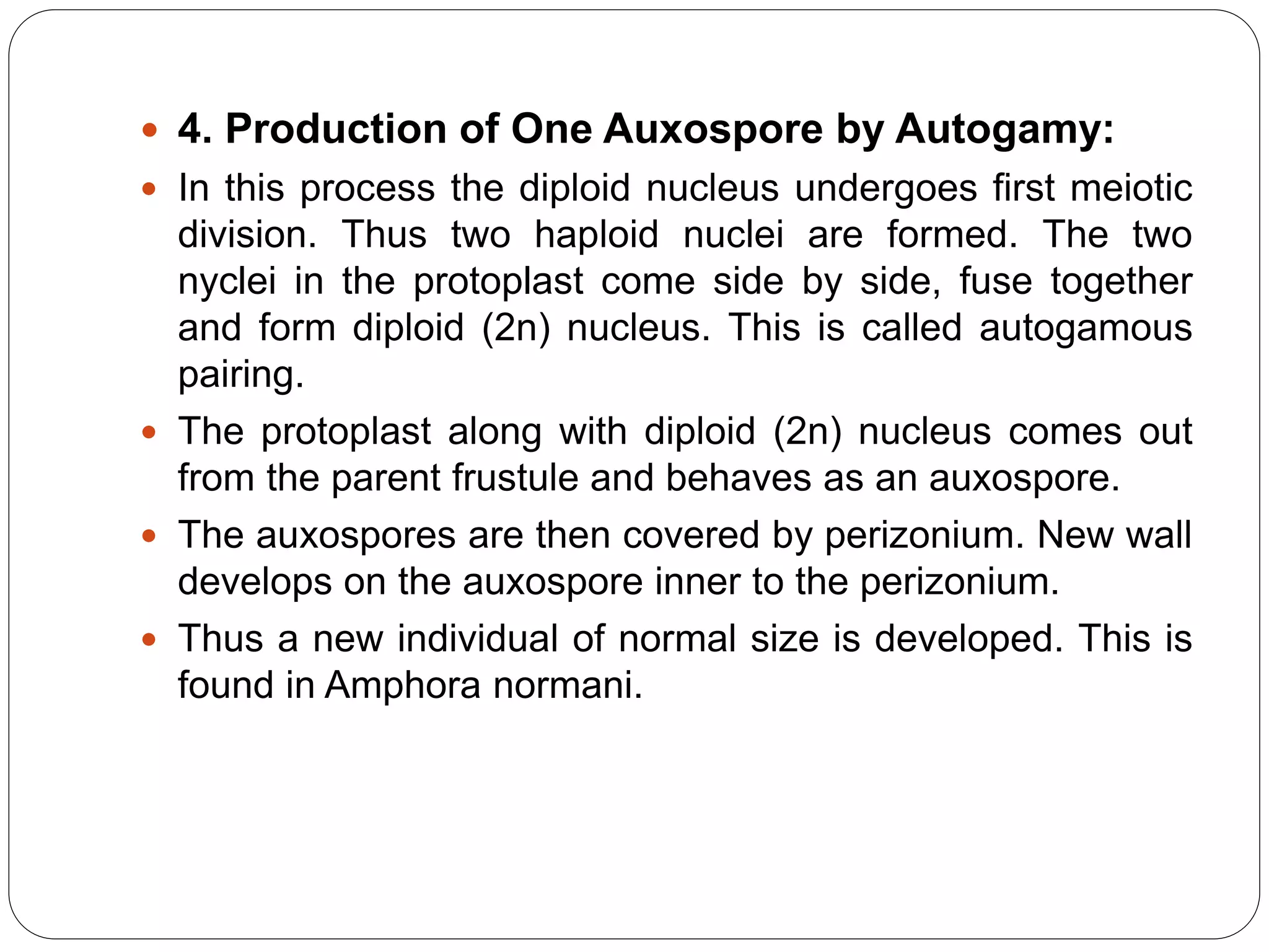  4. Production of One Auxospore by Autogamy:
 In this process the diploid nucleus undergoes first meiotic
division. Thus two haploid nuclei are formed. The two
nyclei in the protoplast come side by side, fuse together
and form diploid (2n) nucleus. This is called autogamous
pairing.
 The protoplast along with diploid (2n) nucleus comes out
from the parent frustule and behaves as an auxospore.
 The auxospores are then covered by perizonium. New wall
develops on the auxospore inner to the perizonium.
 Thus a new individual of normal size is developed. This is
found in Amphora normani.
 