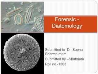 Submitted to–Dr. Sapna
Sharma mam
Submitted by –Shabnam
Roll no.-1303
Forensic -
Diatomology
 